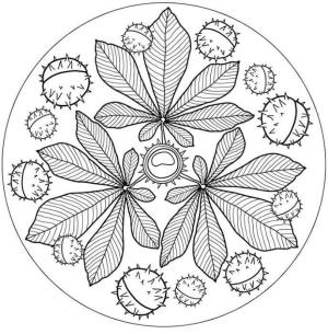 Desen boyama sayfası,  coloring page, Kestane yaprakları, 