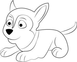 Paw Patrol boyama sayfası,  coloring page, Sevimli Silvia, 