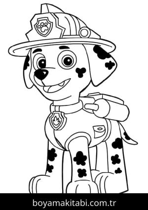 Paw Patrol Boyama