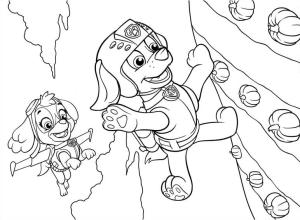 Paw Patrol boyama sayfası,  coloring page, Kayalık ve Skye Uçan, 