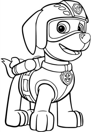 Paw Patrol boyama sayfası,  coloring page, Zuma PAW Devriyesinde, 