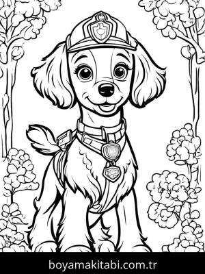 Paw Patrol boyama sayfası,  coloring page, masalsı, minimal, masalsı