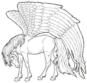 Pegasus boyama sayfası,  coloring page, Fantastik Pegasus 1, 