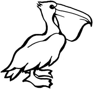 Pelikan boyama sayfası,  coloring page, , 