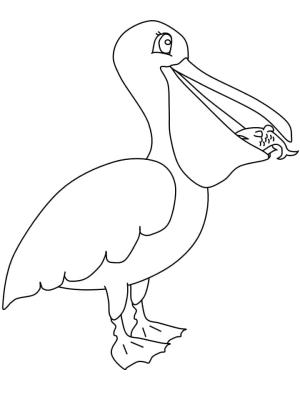 Pelikan boyama sayfası,  coloring page, , 