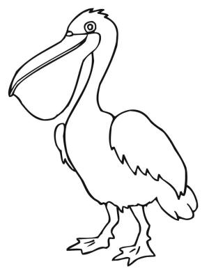 Pelikan boyama sayfası,  coloring page, , 