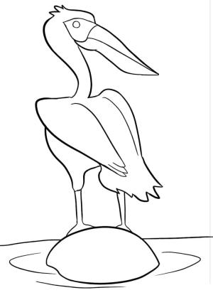 Pelikan boyama sayfası,  coloring page, , 