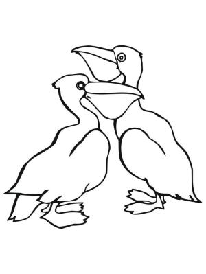 Pelikan boyama sayfası,  coloring page, , 