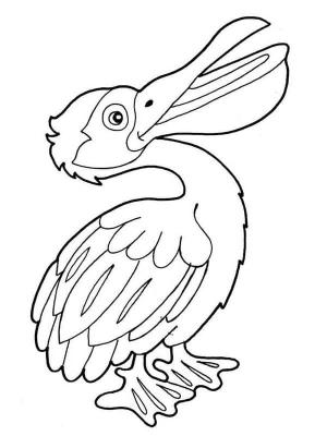 Pelikan boyama sayfası,  coloring page, , 