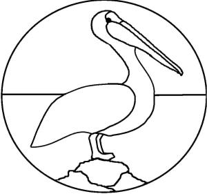 Pelikan boyama sayfası,  coloring page, , 