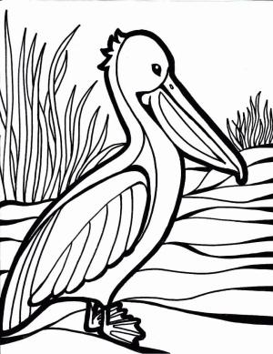 Pelikan boyama sayfası,  coloring page, , 