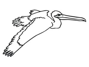 Pelikan boyama sayfası,  coloring page, , 