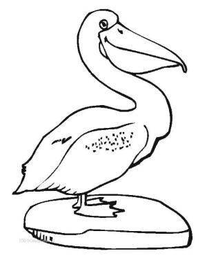 Pelikan boyama sayfası,  coloring page, , 