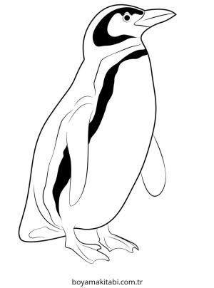 Penguen boyama sayfası – keyifli zaman, renkli çizimler