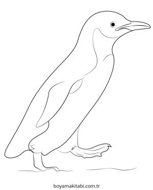 Penguen boyama sayfası – basit çizim, kolay boyama