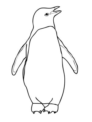 Penguenler boyama sayfası,  coloring page, Penguen Anahat, 