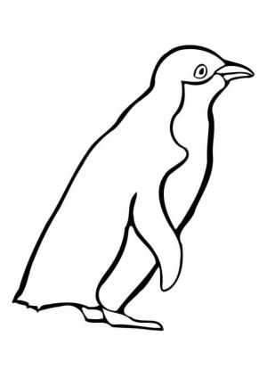 Penguen boyama sayfası,  coloring page, Temel Çizim Pengueni, 