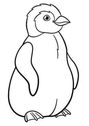 Penguen boyama sayfası,  coloring page, Güzel Penguen, 