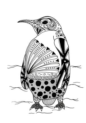 Penguen boyama sayfası,  coloring page, Penguen Yetişkinler Içindir, 