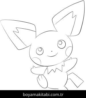 Pichu Boyama