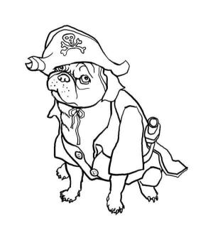 Pirate boyama sayfası,  coloring page, Köpek Korsan, 