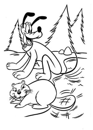 Pluto (Disney) boyama sayfası,  coloring page, Pluto ve Kunduz, 