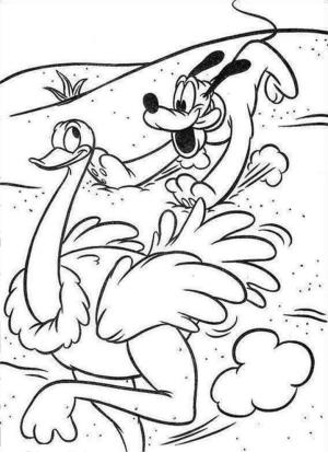 Pluto (Disney) boyama sayfası,  coloring page, Pluto ve Devekuşu, 