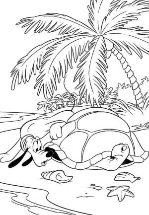 Pluto (Disney) boyama sayfası,  coloring page, Pluto ve Deniz Kaplumbağası, 