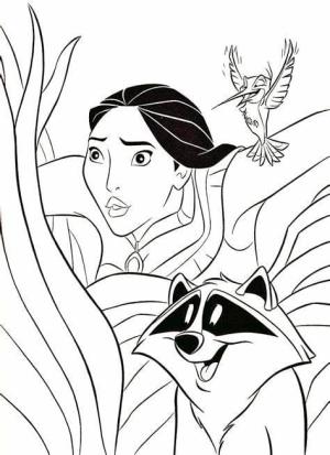 Pocahontas boyama sayfası,  coloring page, Pocahontas Karikatür, 