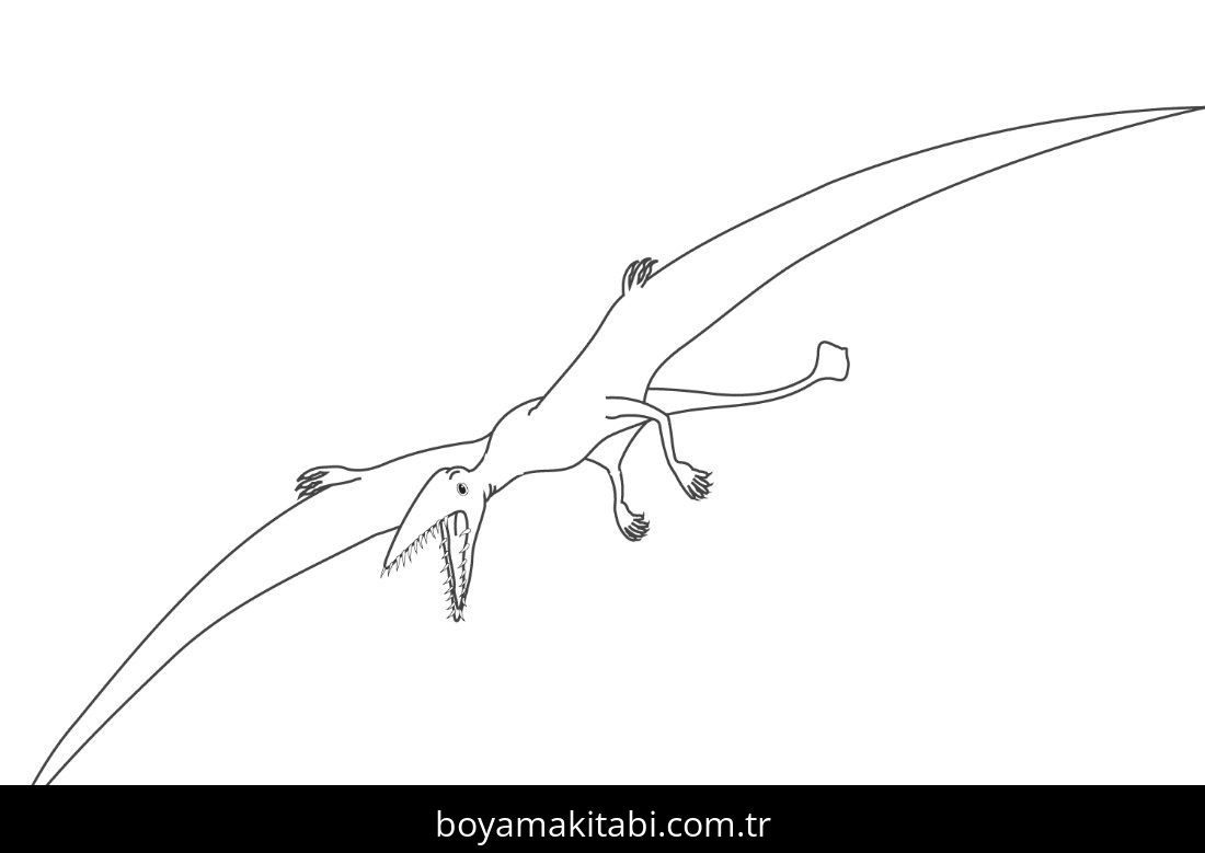 Yazdırılabilir Boyama