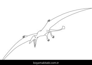 Pterodactyl Dinazor boyama sayfası,  coloring page, , Pterodactyl Dinosaur1