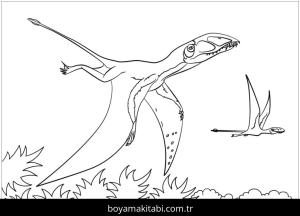 Pterodactyl Dinazor boyama sayfası,  coloring page, , Dimorphodon