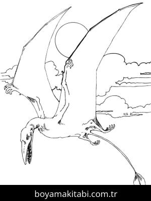 Pterodactyl Dinazor boyama sayfası,  coloring page, , Rhamphorhynchus Jurassic Pterosaurs