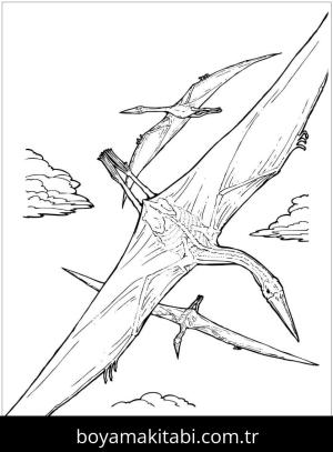 Pterodactyl Dinazor boyama sayfası,  coloring page, , Quetzalcoatlus Pterosaur