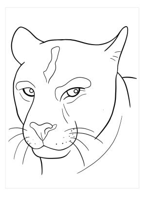 Puma boyama sayfası, Cougar coloring page, Beyzbolcu Puma Koşusu, 