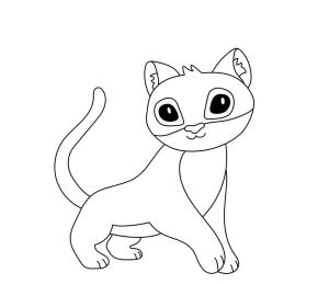 Puma boyama sayfası, Cougar coloring page, Karikatürize et, Puma, 