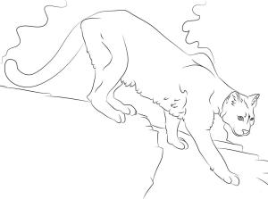 Puma boyama sayfası, Cougar coloring page, Harika Puma, 