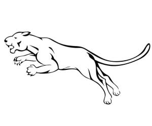 Puma boyama sayfası, Cougar coloring page, Puma Zıplama Çizimi, 