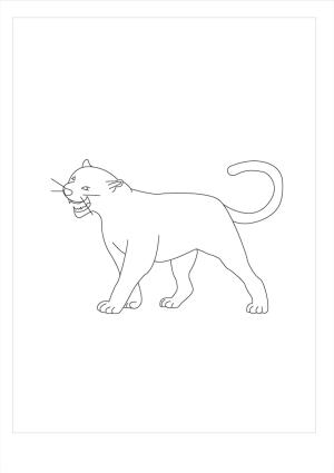 Puma boyama sayfası, Cougar coloring page, Puma Yazdırılabilir, 