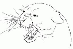 Puma boyama sayfası, Cougar coloring page, Kızgın Puma Surat, 