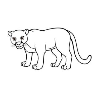 Puma boyama sayfası, Cougar coloring page, Sevimli Puma, 