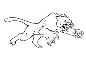 Puma boyama sayfası, Cougar coloring page, Puma Saldırısı, 