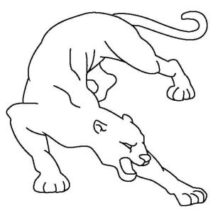 Puma boyama sayfası, Cougar coloring page, Puma Temel, 