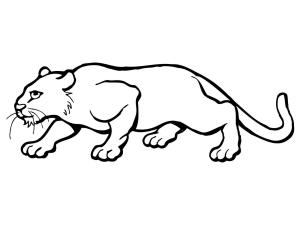 Puma boyama sayfası, Cougar coloring page, Puma Mükemmel, 