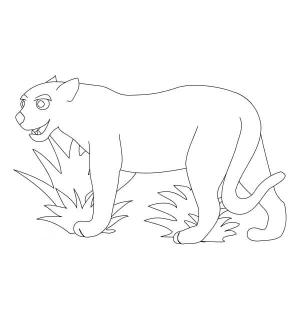 Puma boyama sayfası, Cougar coloring page, Komik Puma, 