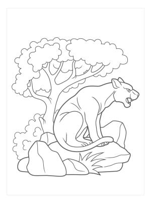 Puma boyama sayfası, Cougar coloring page, Kayanın Üzerinde Oturan Puma, 