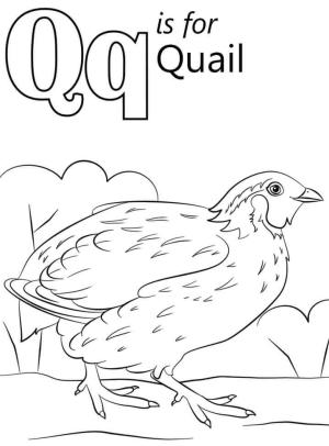 Q Harfi boyama sayfası,  coloring page, Bıldırcın Q Harfi, 