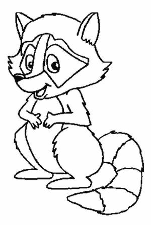 Rakun boyama sayfası, Raccoons coloring page, Komik Rakun, 