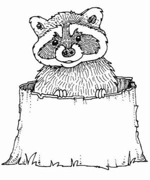 Rakun boyama sayfası, Raccoons coloring page, Gülümseyen Rakun, 