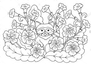 Rakun boyama sayfası, Raccoons coloring page, Yaprak ile Rakun, 